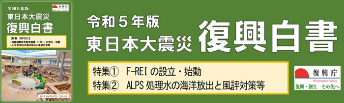 東日本大震災復興白書 （東日本大震災からの復興の状況に関する報告（国会報告））