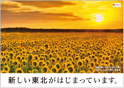 Yamamoto Sunflower Field (Miyagi)
