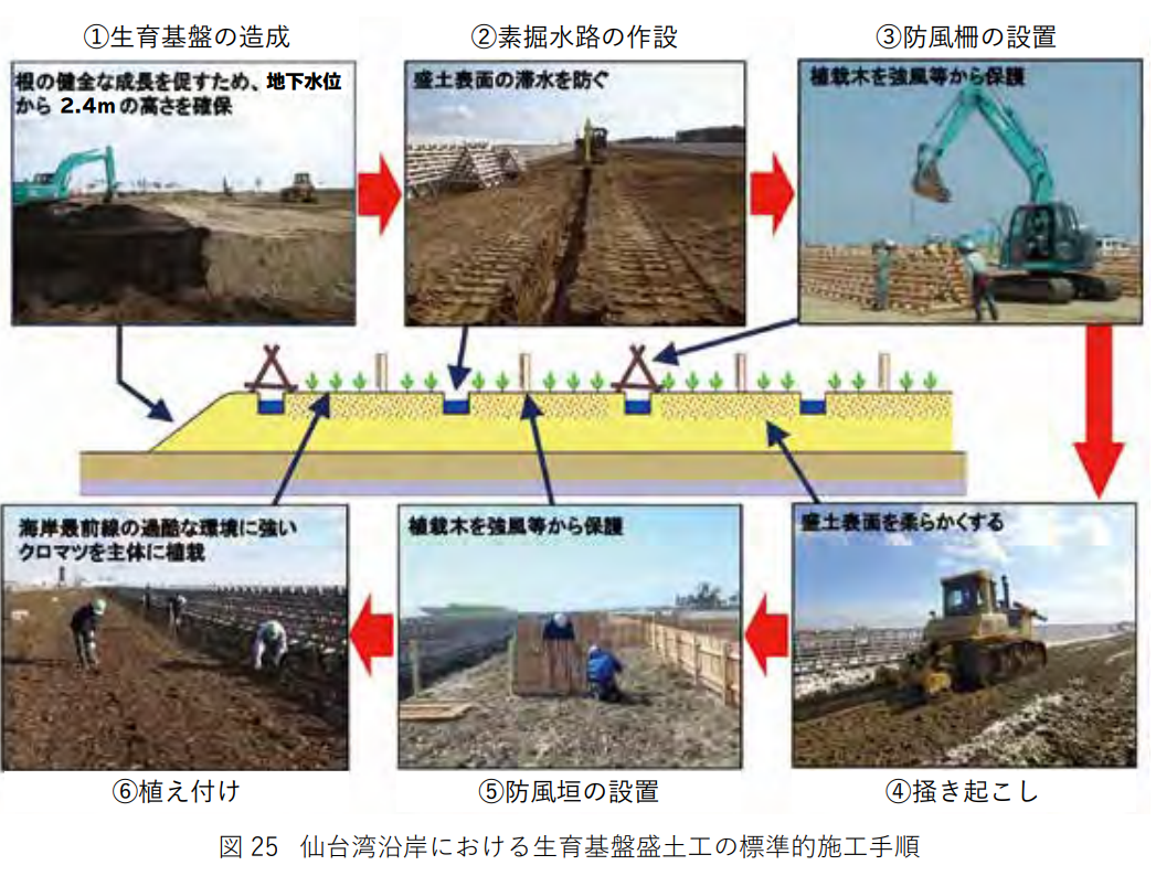 図表 5-12-4 仙台湾沿岸における生育基盤盛土工の標準的施工手順