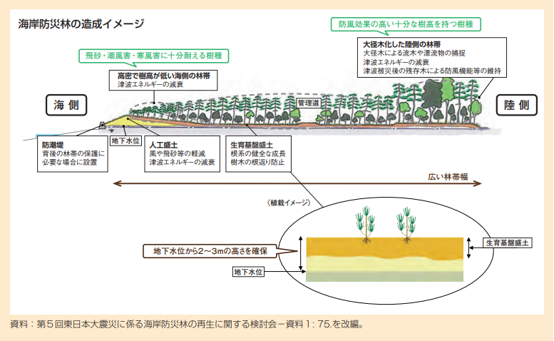 図表 5-12-6 海岸防災林の造成イメージ