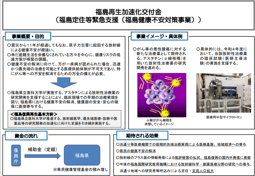 図表  7-2-21　福島定住等緊急支援（福島健康不安対策事業）の概要