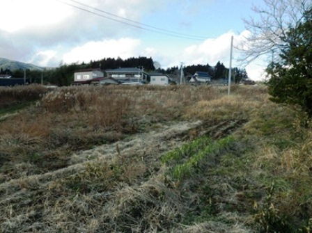 デジタルアーカイブ:20140116_M135.jpg