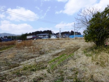 デジタルアーカイブ:20140324_M135.jpg