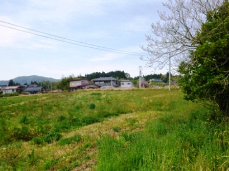 デジタルアーカイブ:20140519_M135.jpg