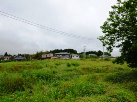 デジタルアーカイブ:20140620_M135.jpg