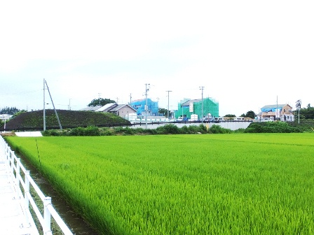 デジタルアーカイブ:20140717_M155.jpg