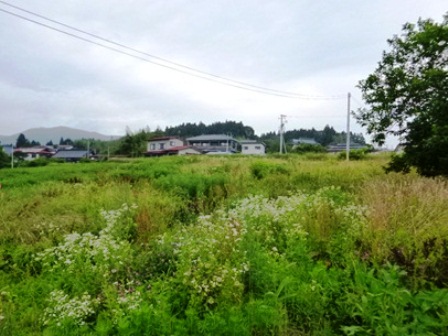 デジタルアーカイブ:20140718_M135.jpg