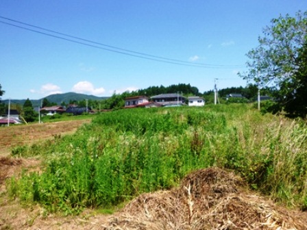 デジタルアーカイブ:20140820_M135.jpg