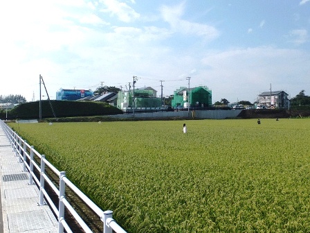 デジタルアーカイブ:20140820_M155.jpg