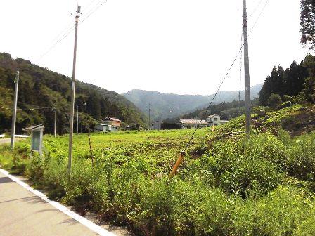 デジタルアーカイブ:20140824_M278.jpg