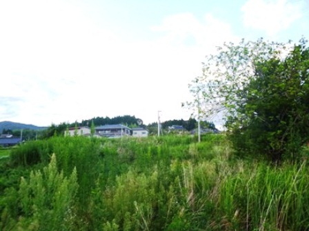 デジタルアーカイブ:20140919_M135.jpg