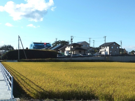 デジタルアーカイブ:20140919_M155.jpg