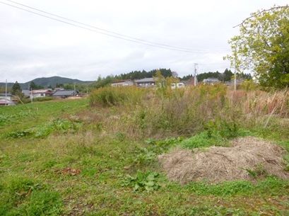 デジタルアーカイブ:20141127_M135.jpg