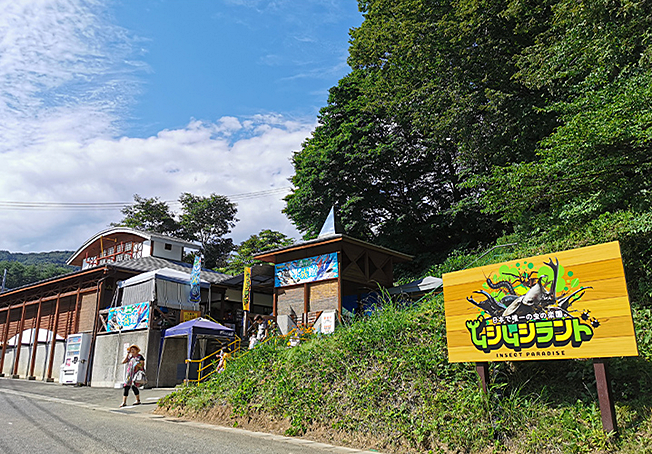 [サムネイル]『カブトムシの森の再生物語～虫の楽園「ムシムシランド」をたずねて』