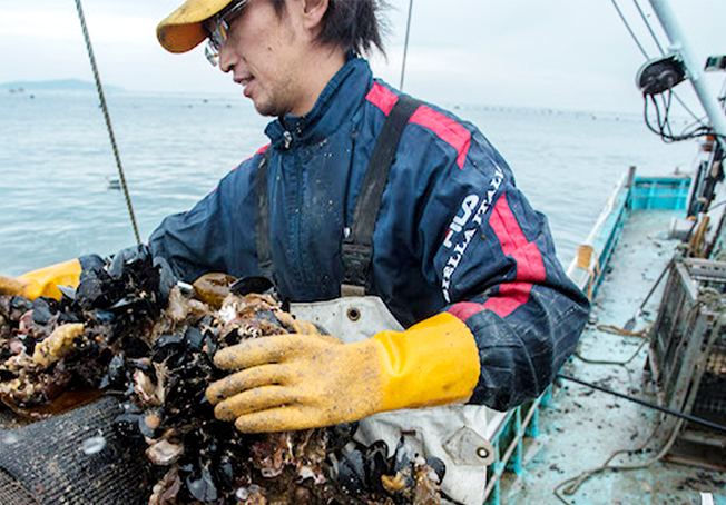 [サムネイル]宮城県石巻市、牡蠣の聖地・荻浜で奮闘する若手漁師・豊嶋純さん