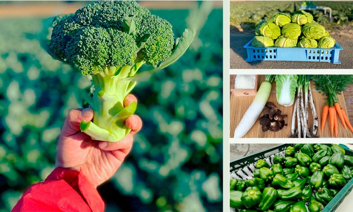 抽選で3名様にプレゼント