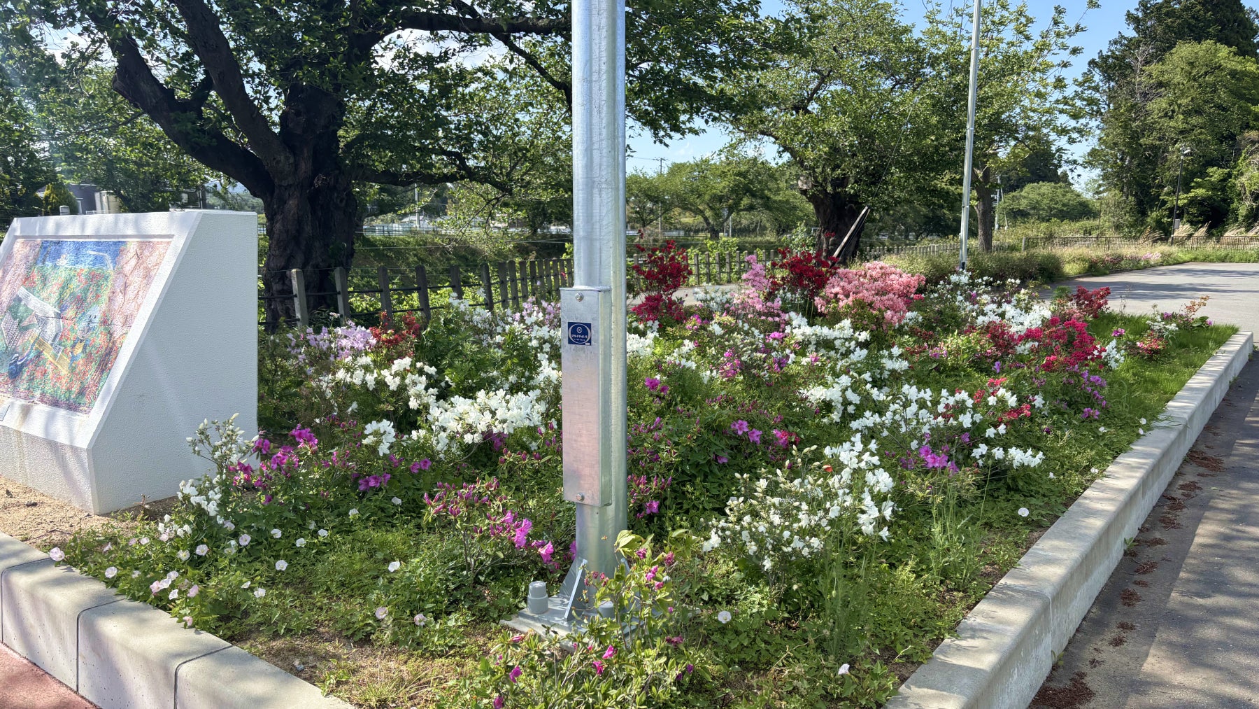 JＲ常磐線夜ノ森駅前の花壇（2026年5月）