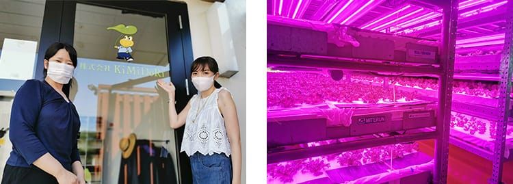 兼子まやさんと高橋麻里江さんがにこやかに並んでいる様子の写真と、水耕栽培室の様子の写真