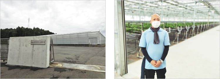 ネクサスファームおおくまの正門と奥に建つビニールハウスの写真と、イチゴを栽培するビニールハウスの入り口に立ち、インタビューに答える徳田辰吾さんの写真