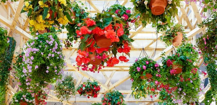 網目状の球体に花を吊り下げ、「花かご」をイメージした「までい館」の天井の写真