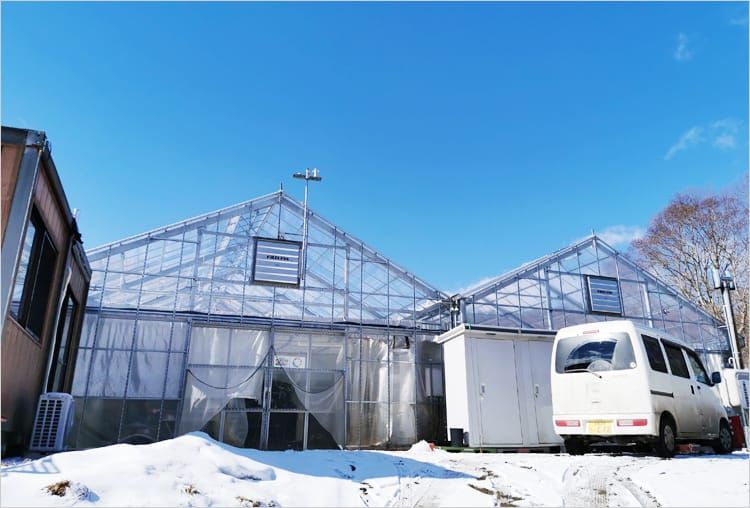 Smile farm谷口のビニールハウス外見写真
