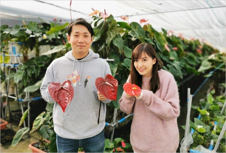 ビニールハウス内で谷口豪樹さんと高橋万里恵さんがアンスリウムの葉を持ち笑顔で並んでいる写真