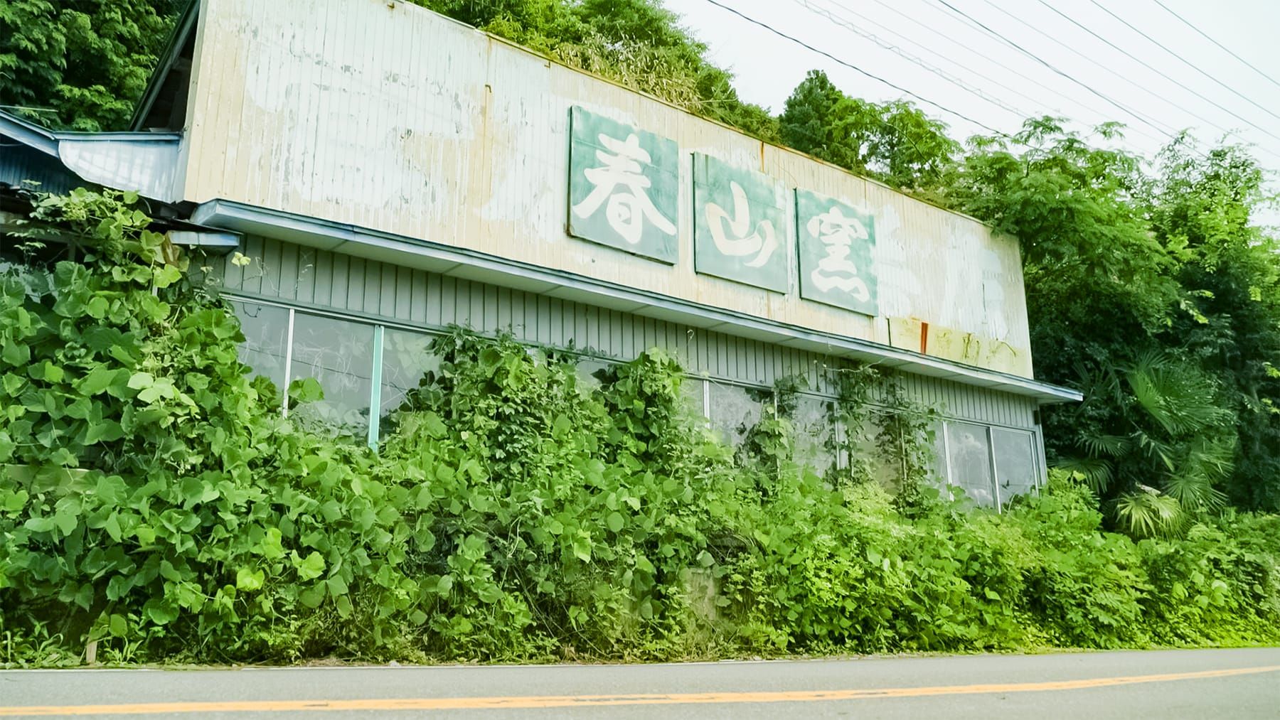 震災後の春山窯の外観写真（撮影：2024年7月11日）
