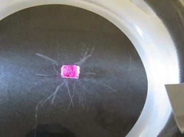 霧箱を用いて放射線の飛跡の観察を行っている様子