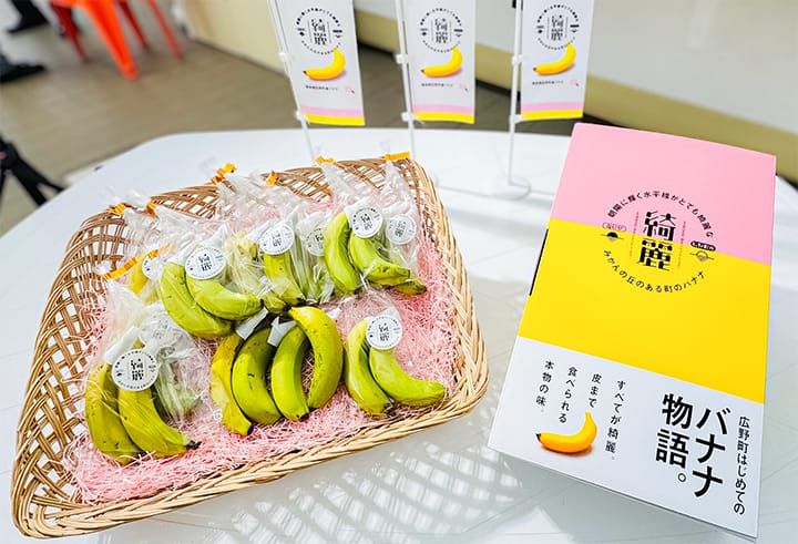 バナナ「綺麗」10本入りギフトバッグ
