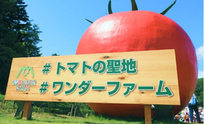 ワンダーファーム