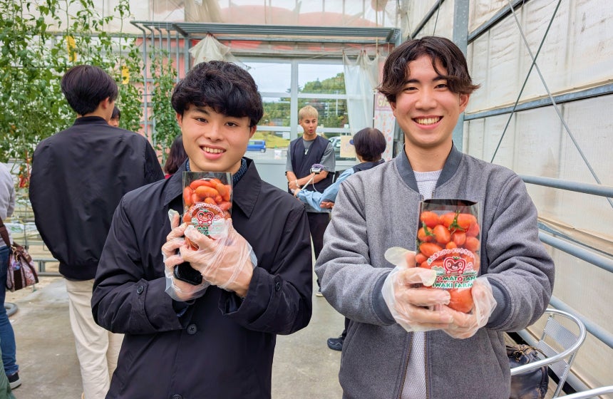 袋いっぱいになるまで摘み取ることができるトマト収穫体験