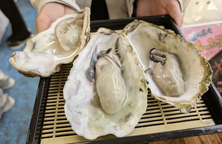 ツアー最後に新鮮な岩牡蠣を堪能したユージさん