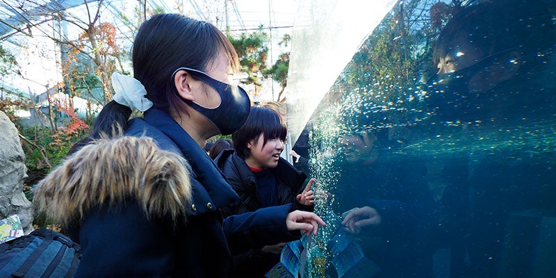ふくしま海洋科学館　アクアマリンふくしまその2