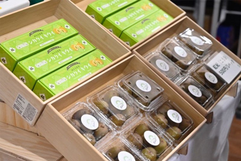 トークショーの様子9