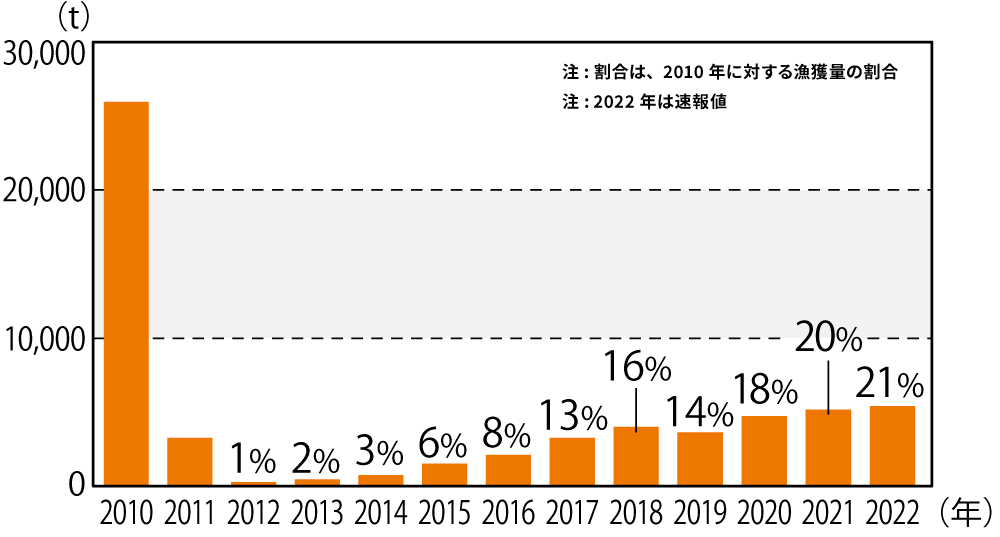 試験操業・販売における漁獲量