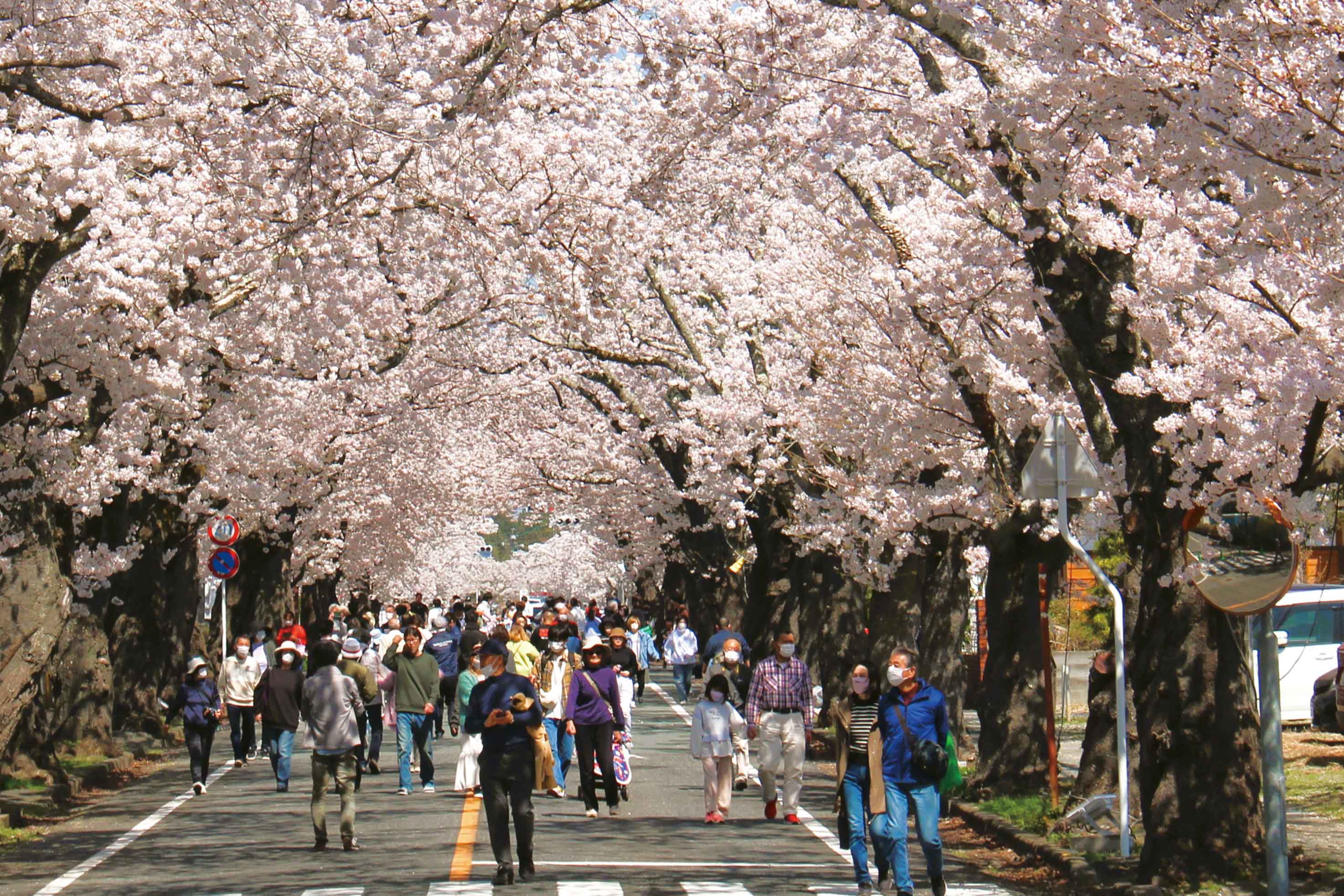 富岡町