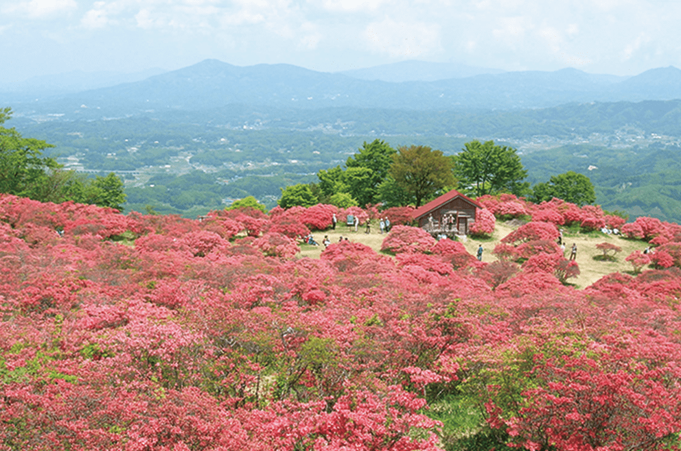 田村市