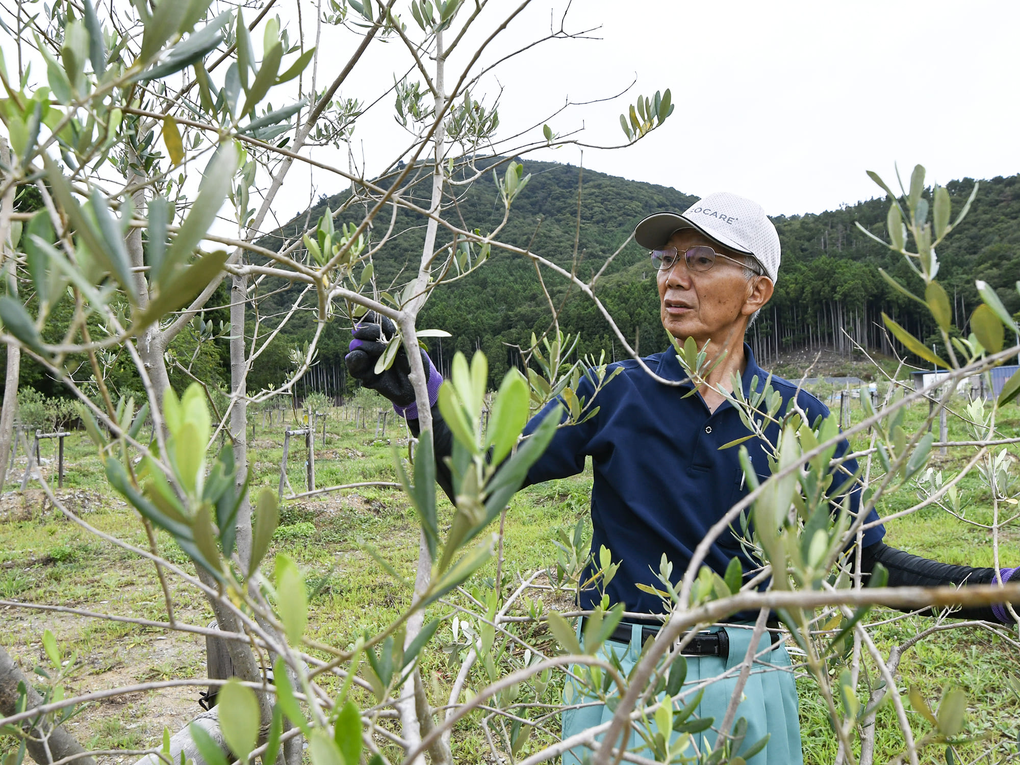 農業法人 株式会社ソーシオ