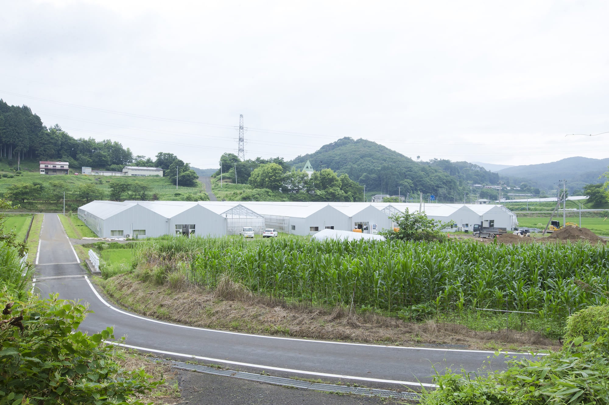 川俣町山木屋地区で花卉農家として新規就労した