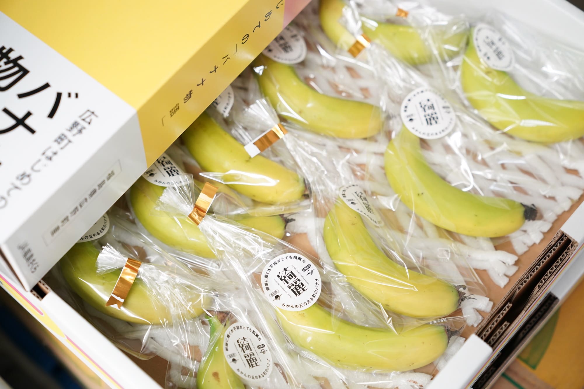 クリーミーで濃厚なおいしさが特徴の広野町産バナナ「綺麗」