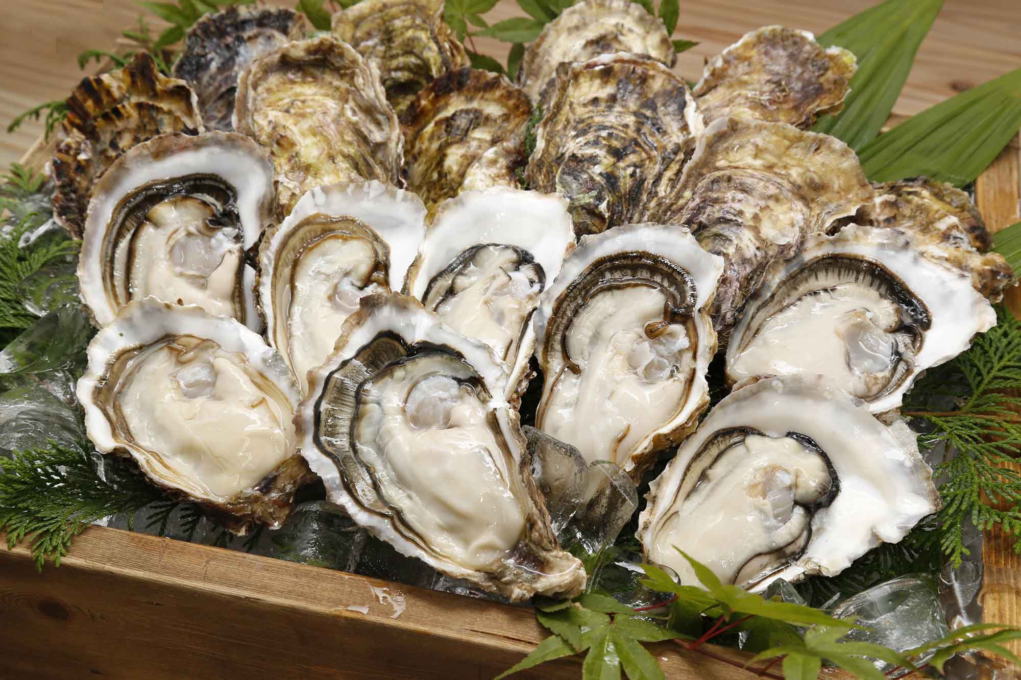 MIYAGI OYSTER（宮城オイスター）