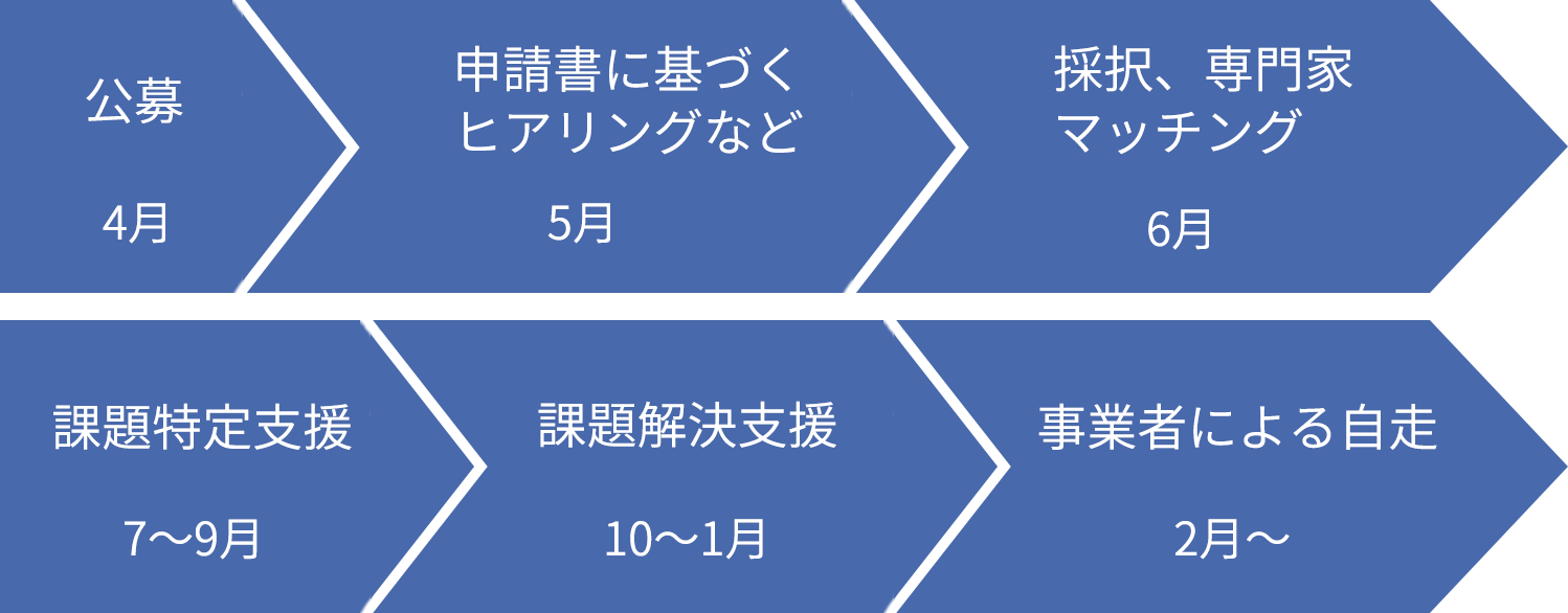 公募4月、申請書に基づくヒアリング等5月、採択、専門家マッチング6月、課題特定支援7月、課題解決支援10〜1月、事業者による自走2月〜
