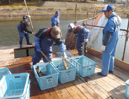 20131108_ph1_miyagi.jpg