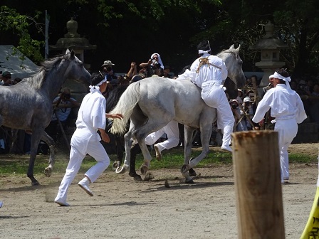 20180728_ph5_fukushima.jpg