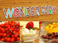 20160830_wonder-farm.png
