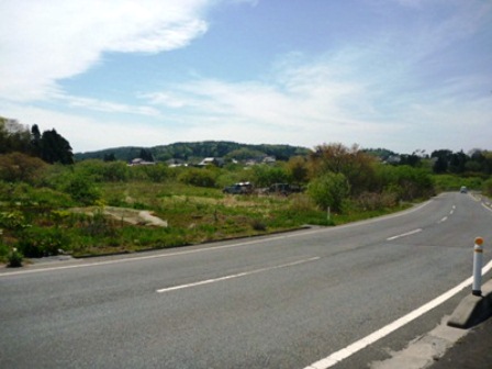 20140519_M137.jpg