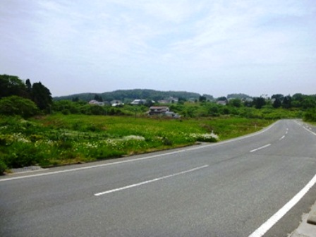 20140620_M137.jpg