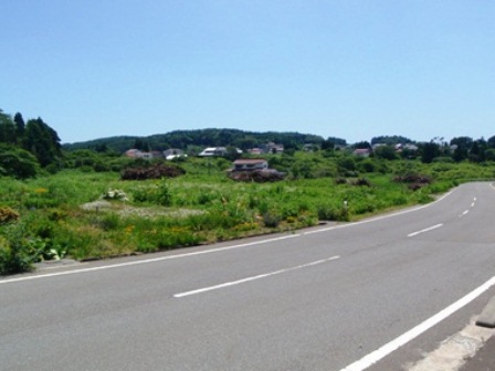 20140718_M137.jpg