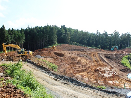 20140818_M248.jpg