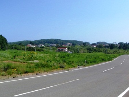 20140820_M137.jpg
